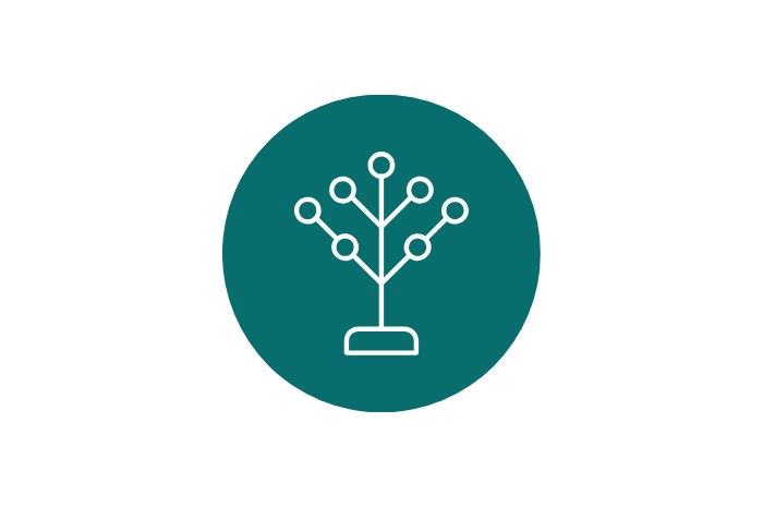 arum family also known as aroids