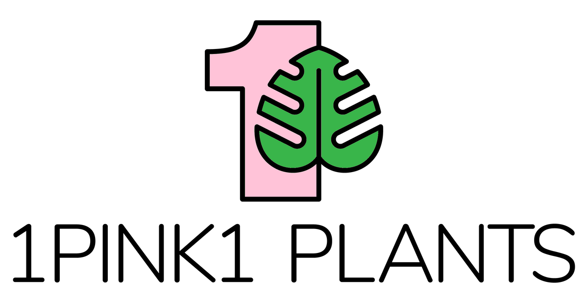 1pink1 plants