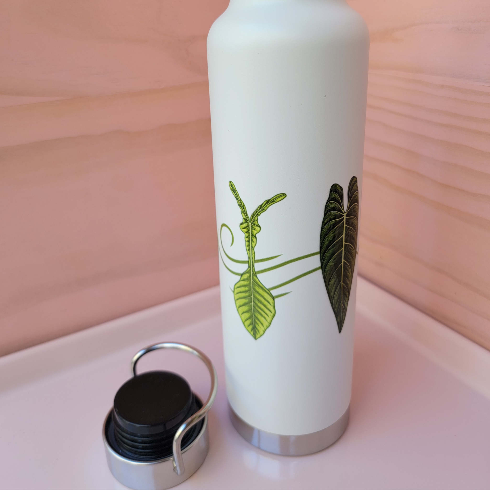 22oz Insulated Water Bottle - Tropical Aroid House Plants