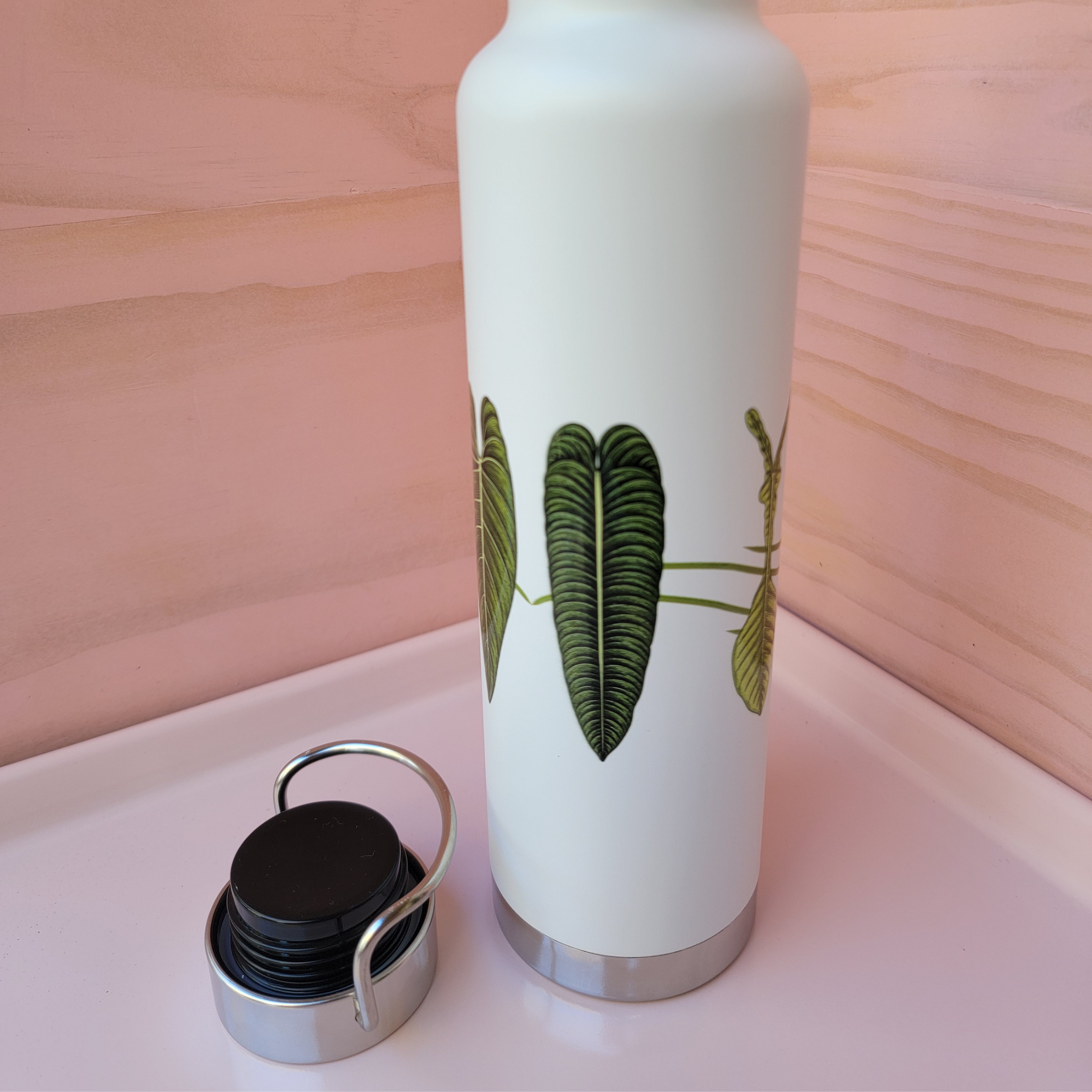 22oz Insulated Water Bottle - Tropical Aroid House Plants