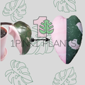 19" Plant Pillow - Philodendron Pink Princess Leaf Shaped Sofa Pillow, Cute House Plant Cushion