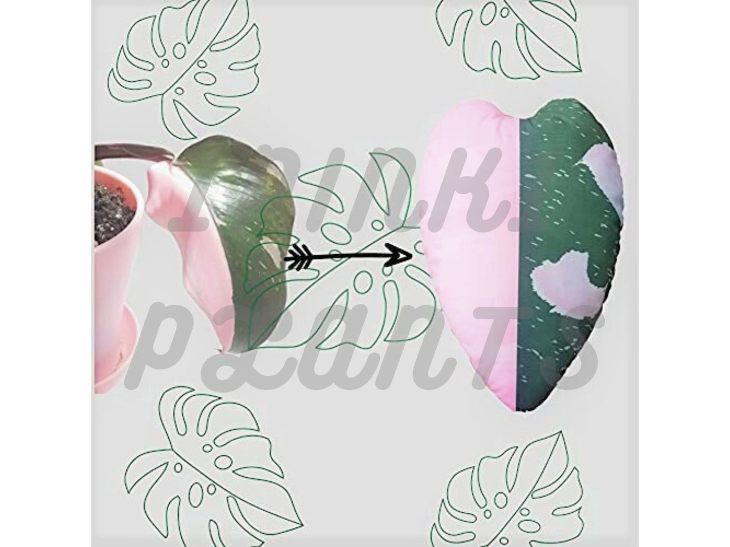 A picture of a live plat called philodendron pink princess and an arrow pointing to a heart-shaped throw pillow. The heart-shaped leaf throw pillow has a variegated design with one half of the pillow being pink and the other half being green.  The pillow is an actual replica of the natural philodendron pink princess plant leaf.  The pillow is reversible, soft, velvety, and plush. Perfect for sofas, beds, and chairs. The pillow is ideal for adding a touch of comfort and style to any space.