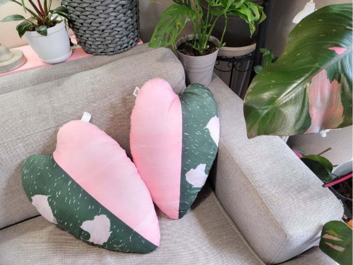 Two philodendron pink princess heart and leaf shaped throw pillows on a sofa. The pillows have a variegated design with one half of the pillow being pink and the other half being green.  Each pillow is a replica of a leaf print based on a natural philodendron pink princess plant leaf.  In this picture, the pillows are displayed on a gray couch, surrounded by various houseplants. The pillows are soft, velvety, and plush. They are the perfect gift ideal for plant lovers and house plant collectors.