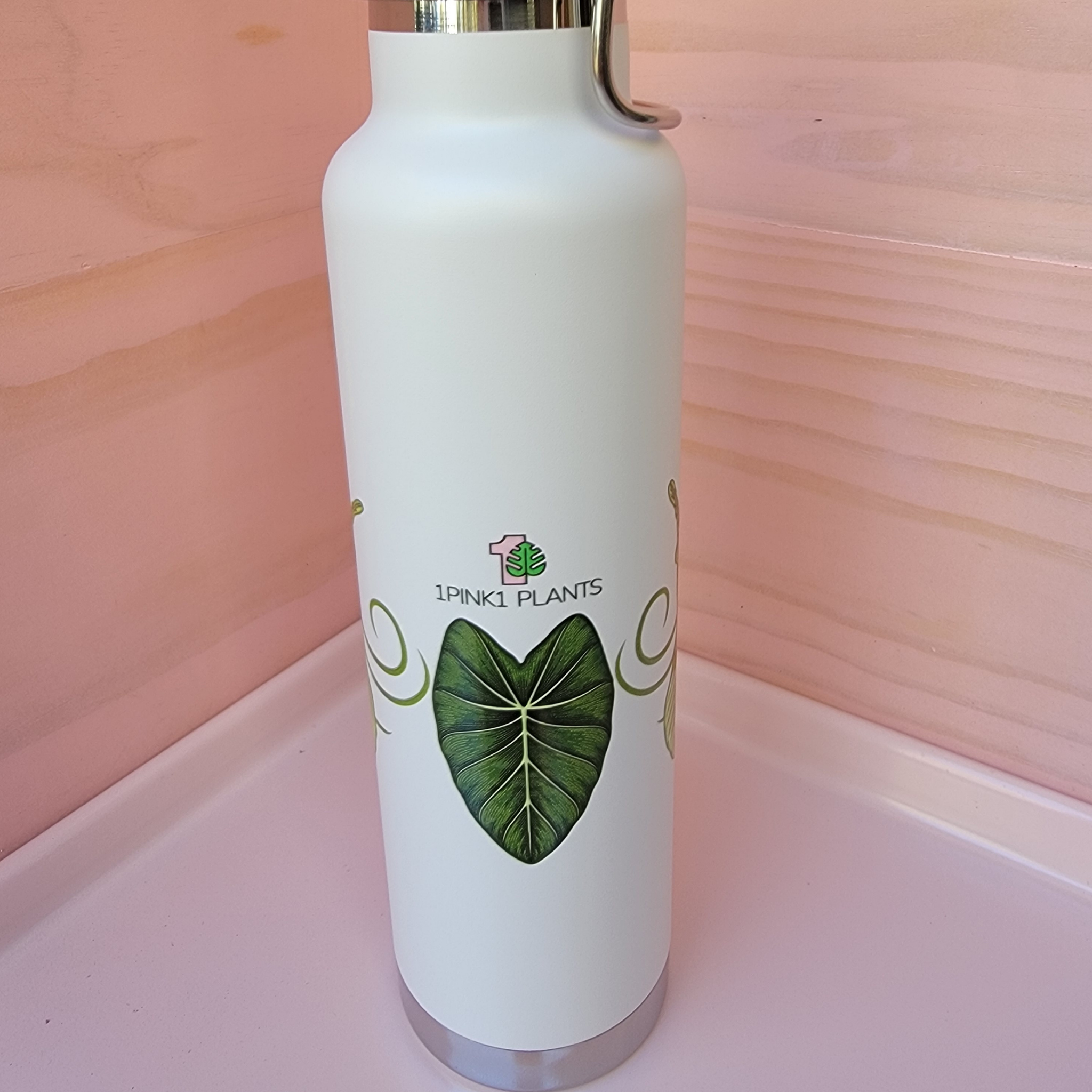 22oz Insulated Water Bottle - Tropical Aroid House Plants